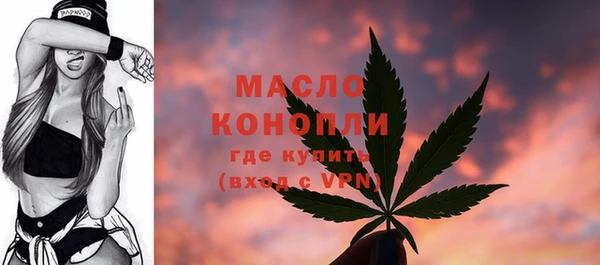 сатива Абинск