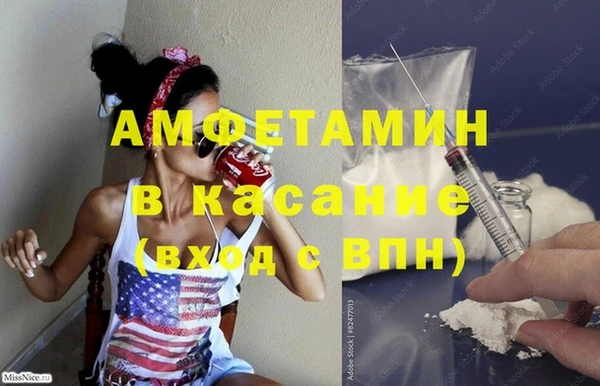 сатива Абинск