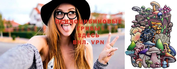 mdpv Нижний Тагил