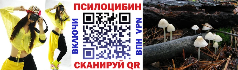 Галлюциногенные грибы Cubensis  Котельнич 